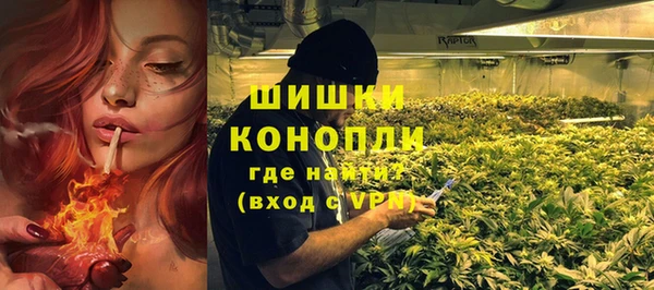 гидра Осинники